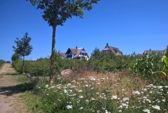 mittenmang-dorf.jpg