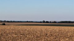 feld-spaetsommer-zierow.jpg