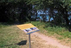 mittenmang-meer.jpg