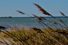 naturstrand-eggerstorf.jpg