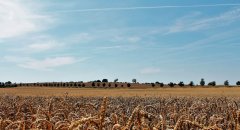 ostseeradfernweg-zierow2.jpg