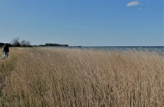 hundestrand-eggerstorf.jpg
