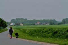 ostseeradfernweg.jpg