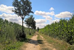 wandern-mittenmang.jpg