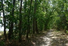wanderweg-zierow-n.jpg