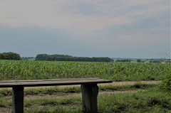 wanderweg-zierow.jpg