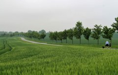 zierow-ostseeradfernweg.jpg